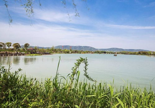 清明出游好去處 全國多景區(qū)免費開放，沙家浜成無錫游客優(yōu)選